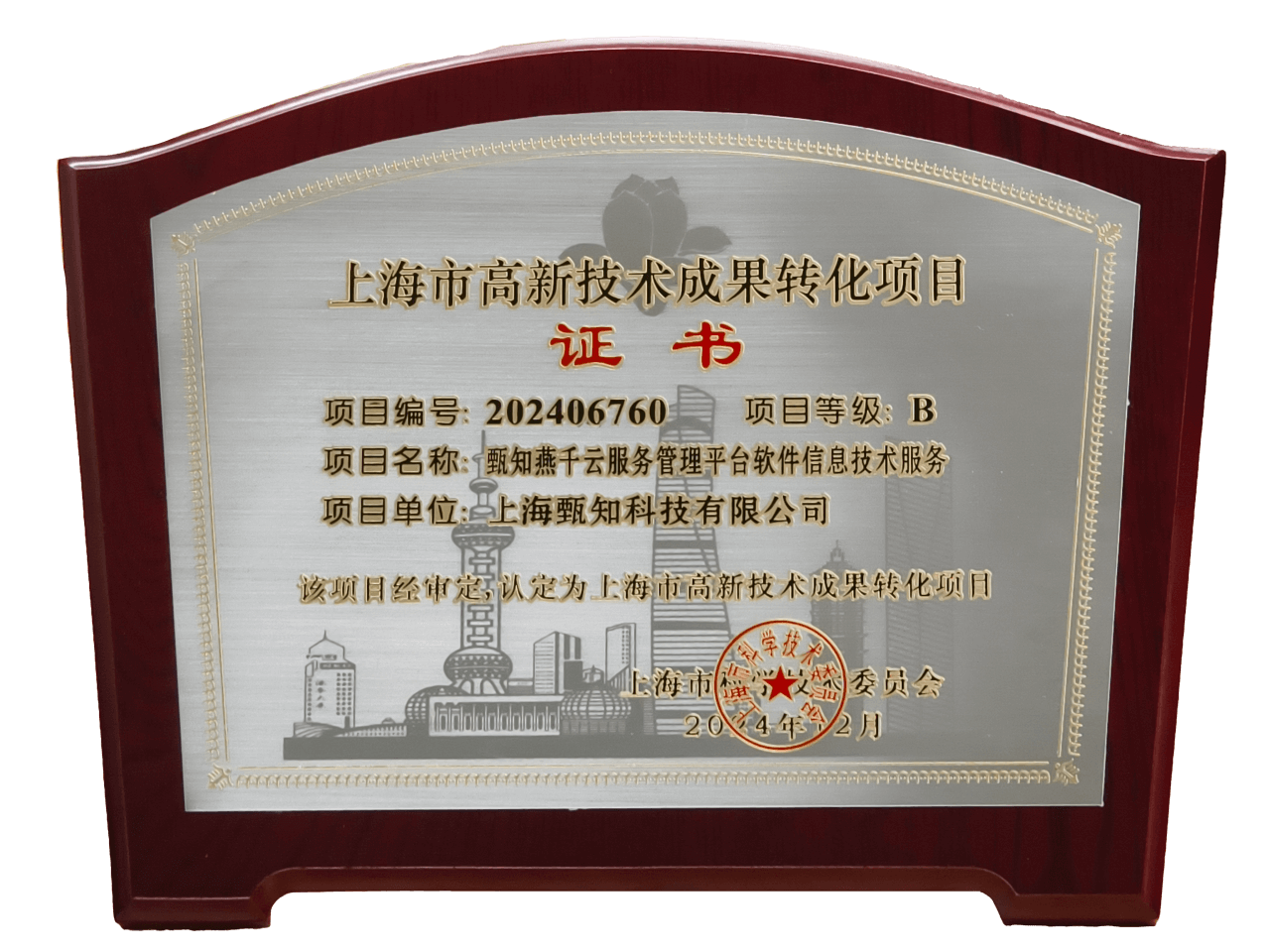 上海市高新手艺效果转化项目